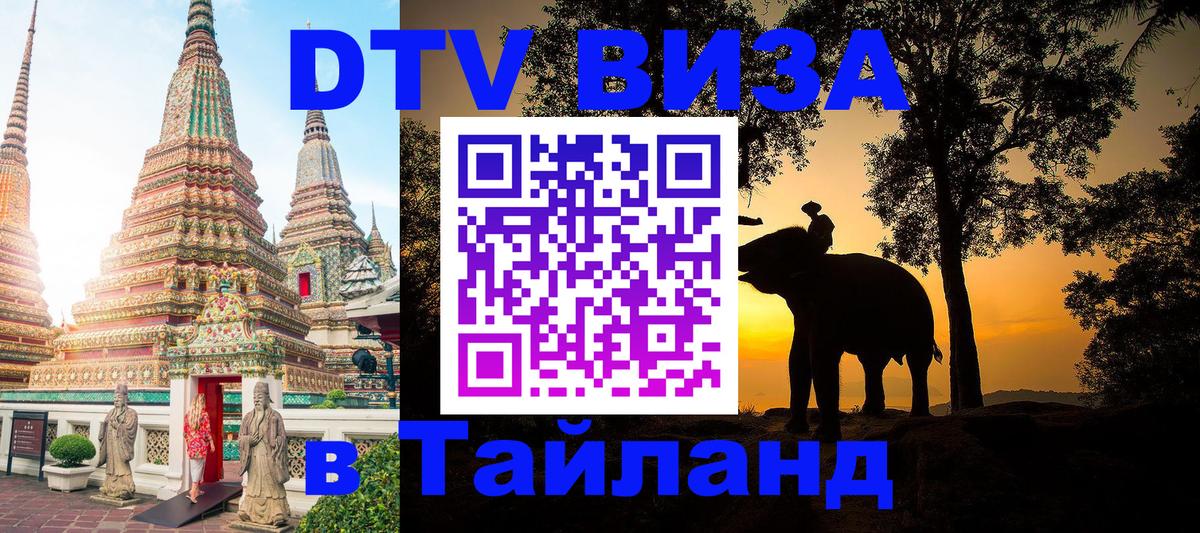 Оформление DTV визы под ключ: стоимость и тарифы, только загранпаспорт - 20.11.2025 